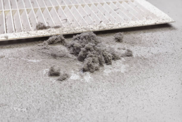 Best Air Duct Cleaning Near Me  in Georgetown, GA