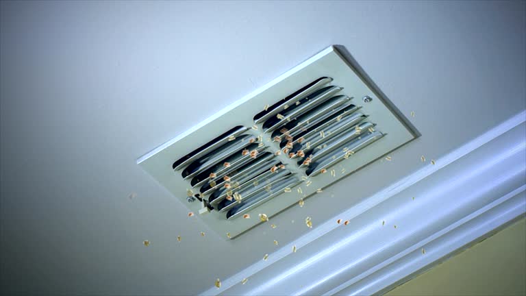 Best Professional Duct Cleaning Services  in Georgetown, GA
